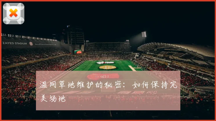 温网草地维护的秘密:如何保持完美场地