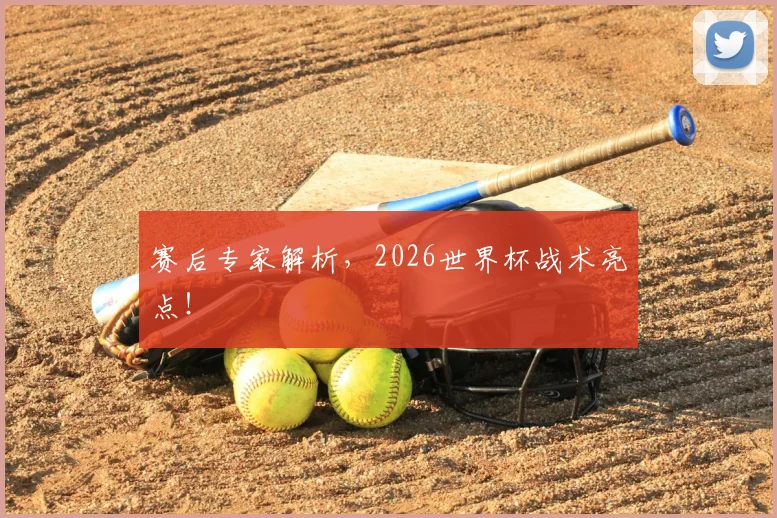 赛后专家解析,2026世界杯战术亮点!