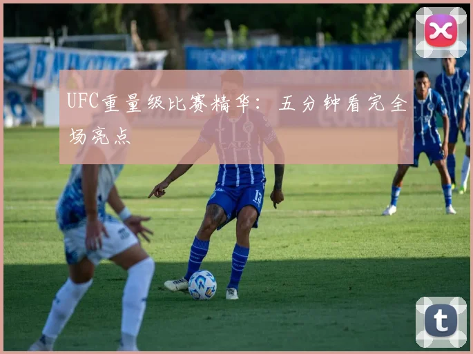 UFC重量级比赛精华:五分钟看完全场亮点