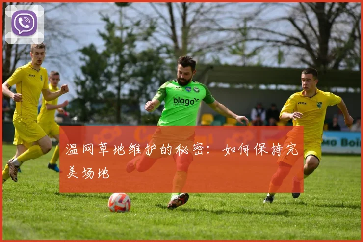 温网草地维护的秘密：如何保持完美场地