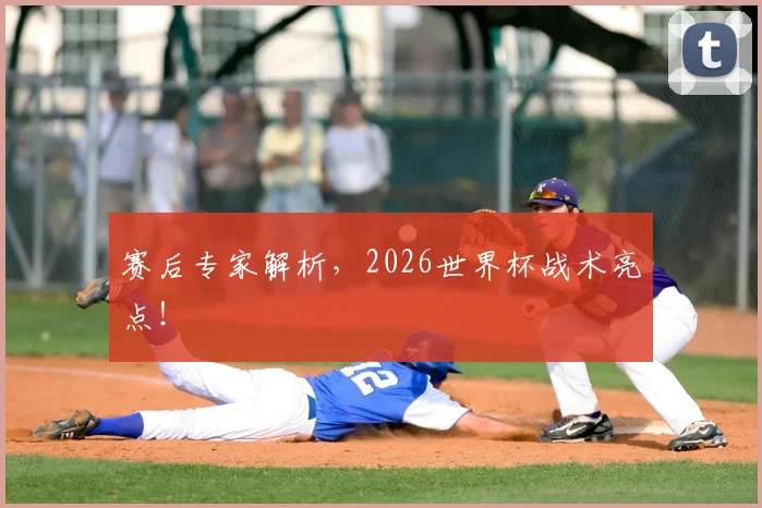 赛后专家解析,2026世界杯战术亮点!
